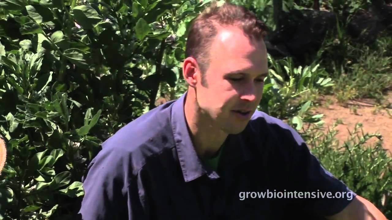 Session 8 Part B: GROW BIOINTENSIVE: A Beginner's Guide --  Choosing Your Crops