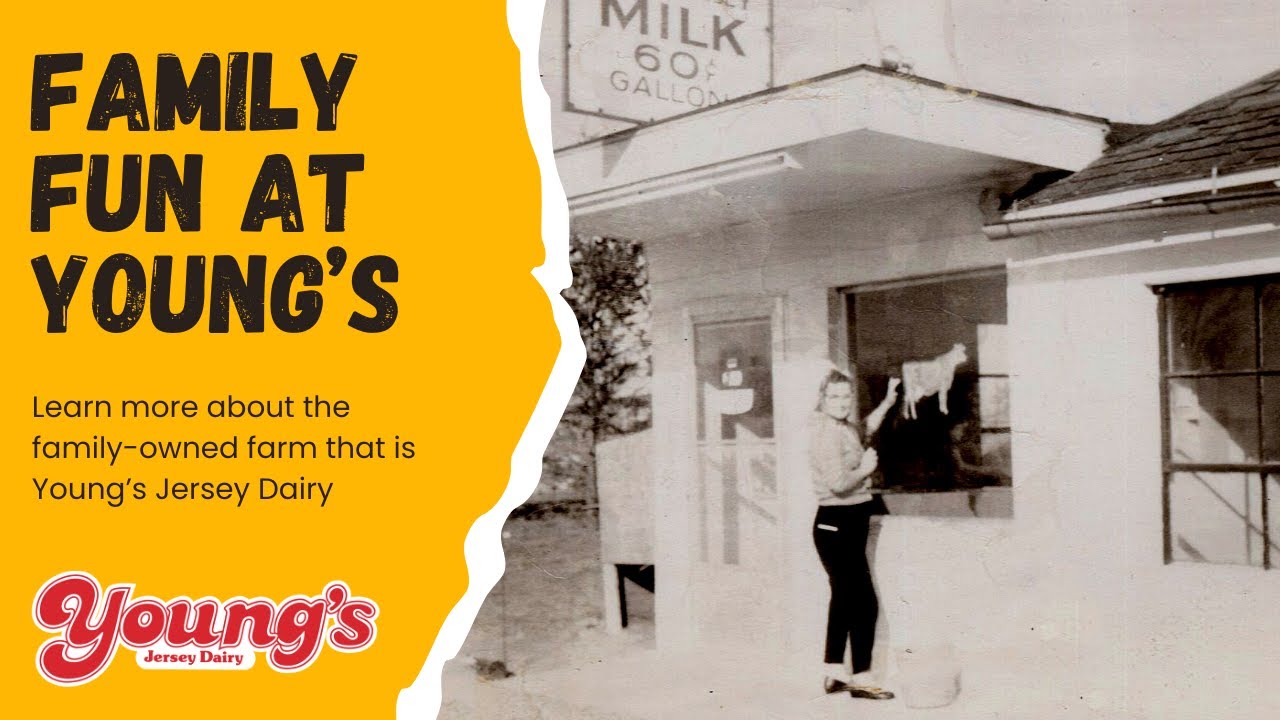 Young's Jersey Dairy in Yellow Springs, OH