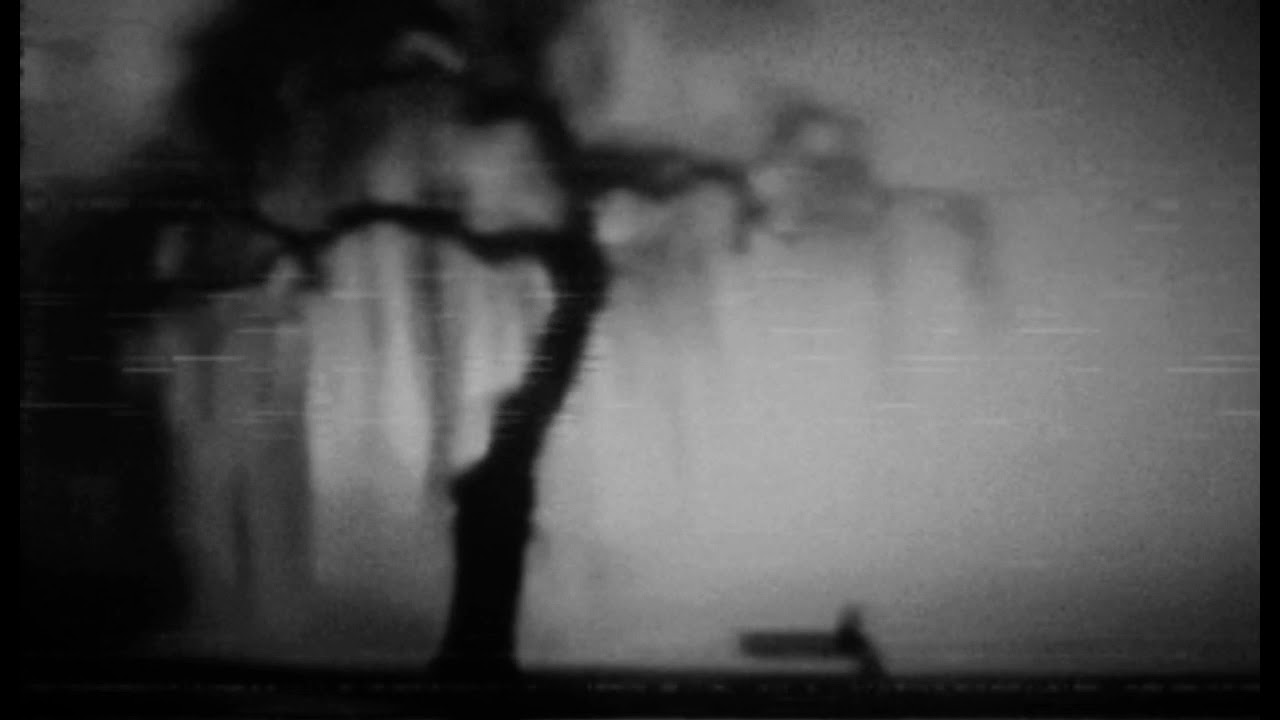 Rammstein - Stirb Nicht Vor Mir (slowed + reverb)