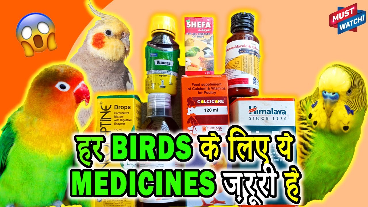 Important MEDICINES for ALL BIRDS | Best Medicines For Lovebirds, Cockatiel, Finch | Happy Budgies