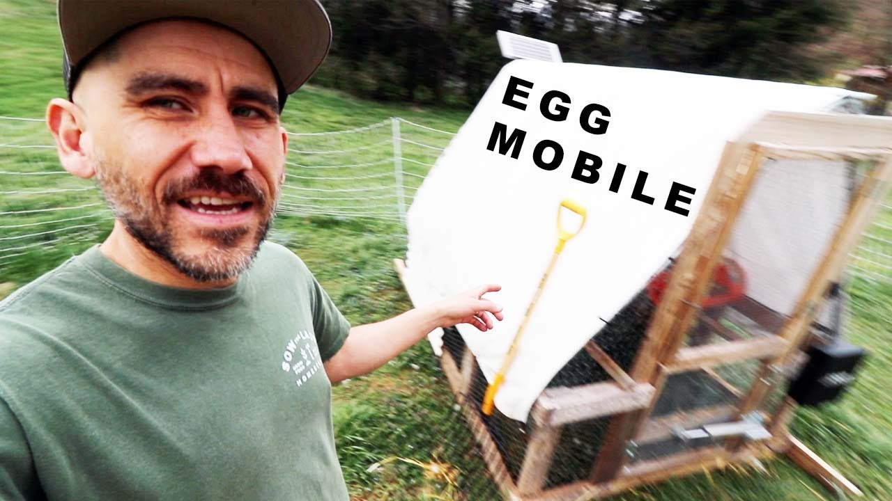 It's time to MOVE the Chicken Tractor WHEN...