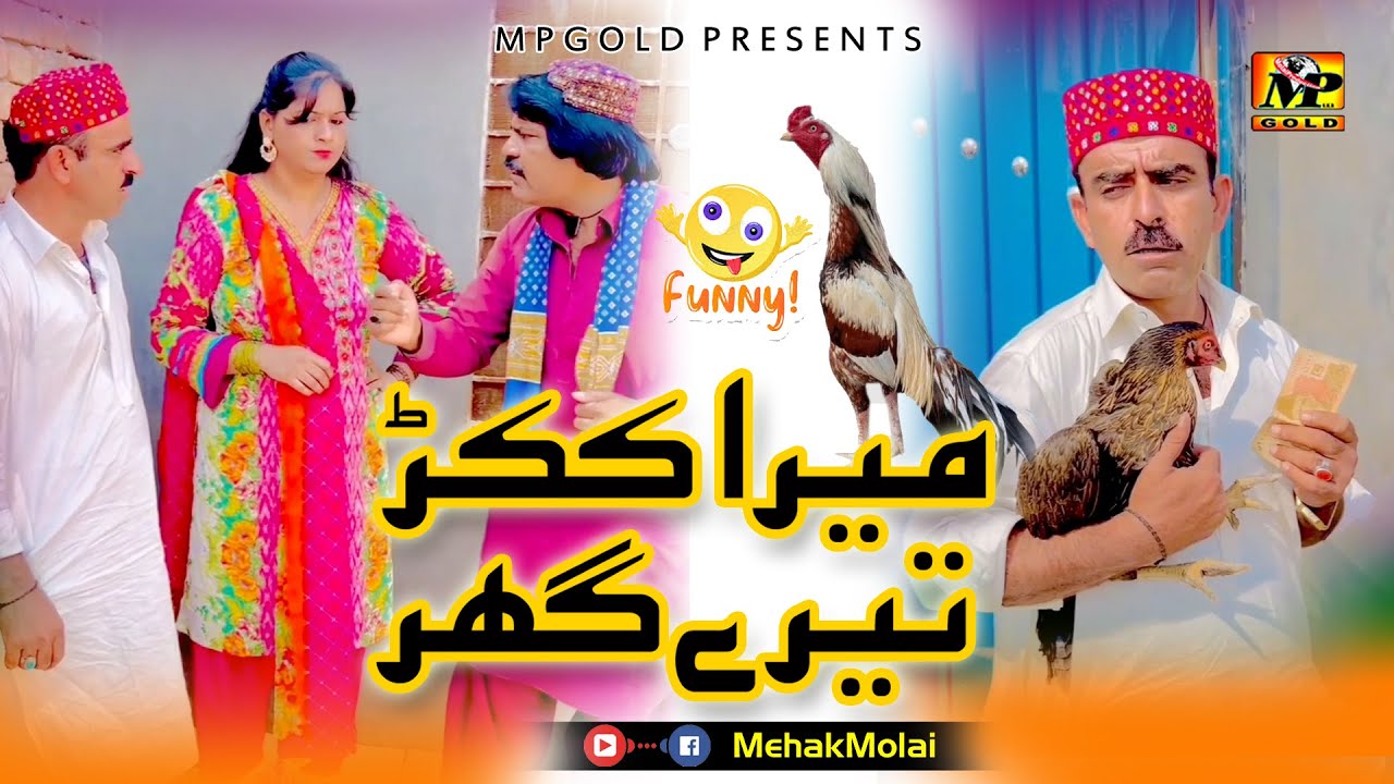 Mera Kukkad Tere Ghar 🐓 | Funny | Comidy Vedio | Alam Jaan | Mehak Molai 😃