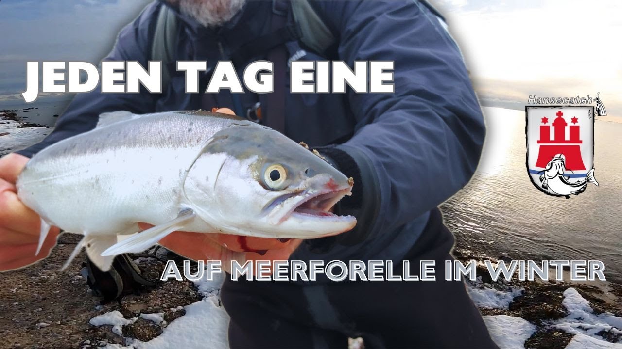 JEDEN TAG EINE (Auf Meerforelle im Winter)