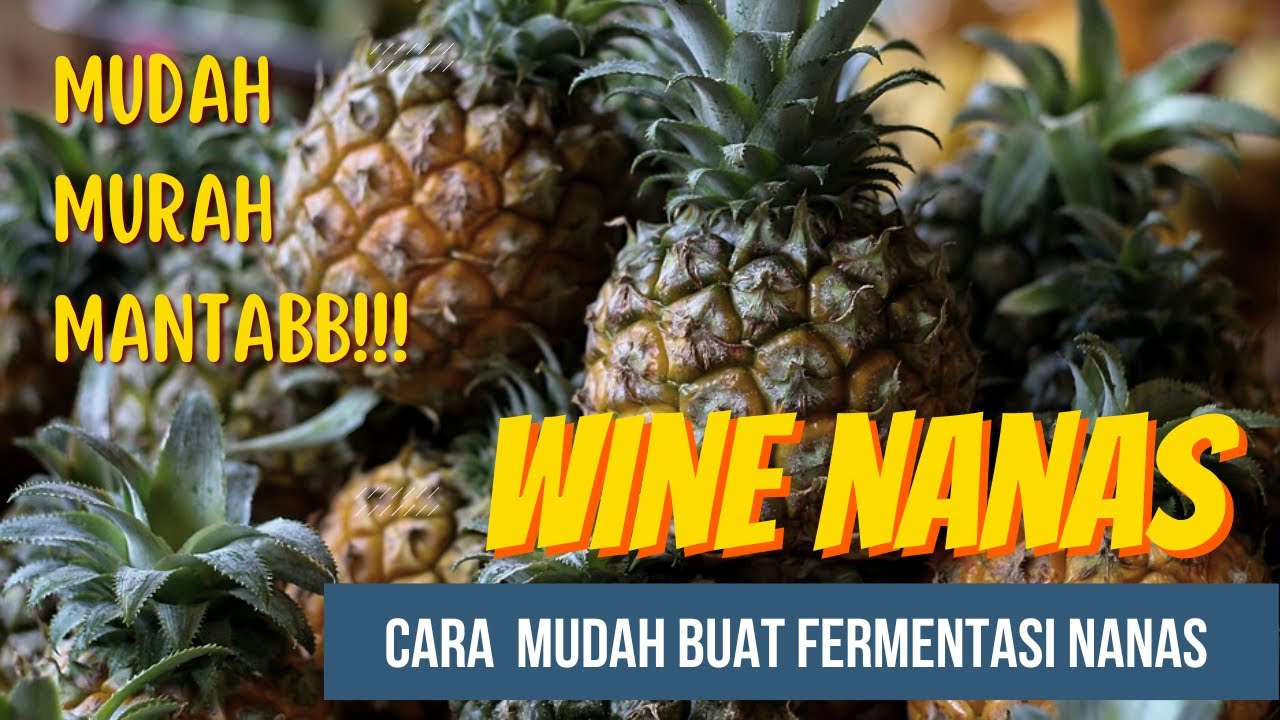 Bikin Sendiri Wine Nanas. Mudah Murah Manteb #winenanas #wine #fermentedfood #diyprojects