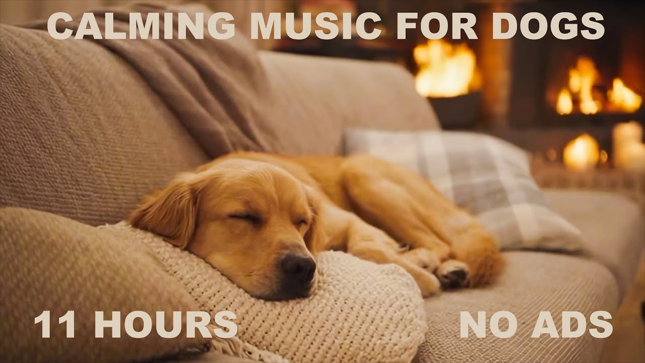 11 Hours Cozy Fireplace for Dogs • Calming Music to Reduce Anxiety & Help Dogs Sleep