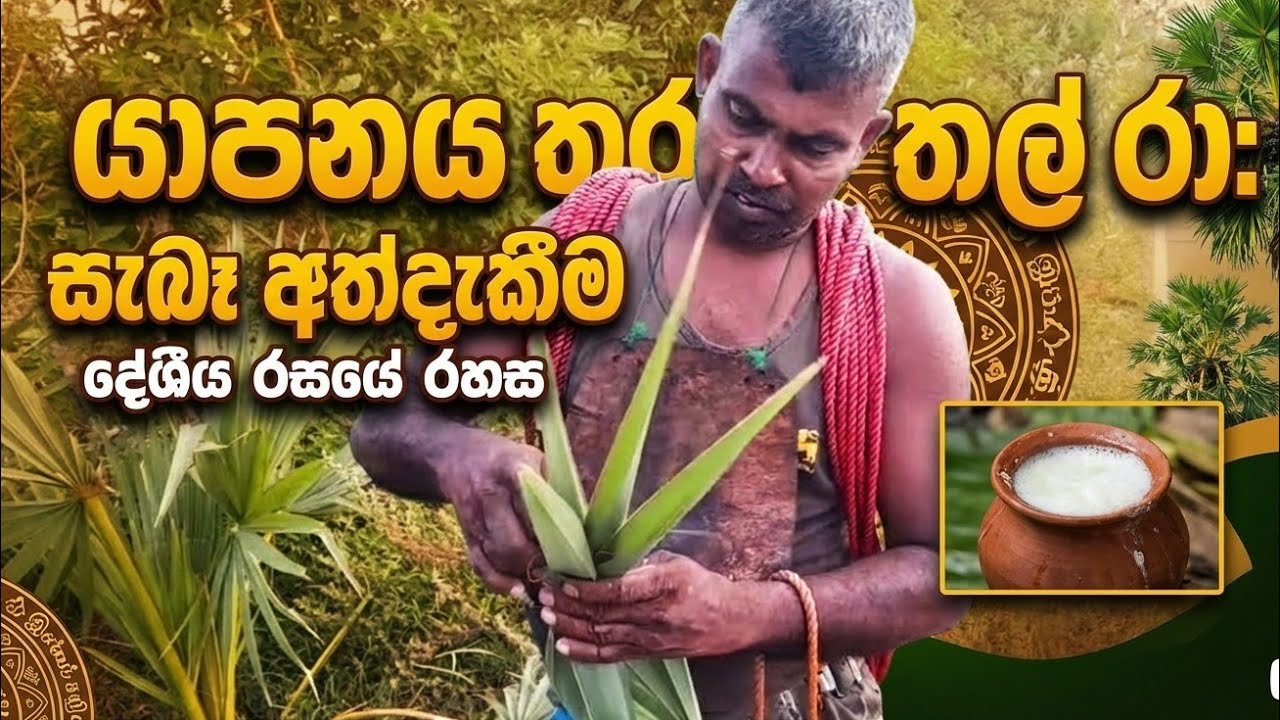 යාපනයේ අනන්‍යතාවය: යාපනය තල් රා (Jaffna Palmyrah Toddy) 