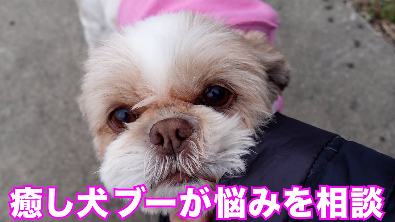 ブーが悩み!?不審者が!?服を奪う!?今日も賑やかな２２兄弟