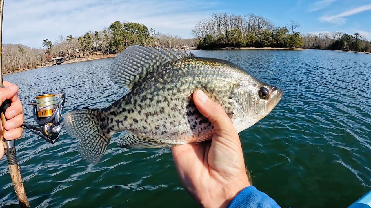Slab Crappie Can't Resist This Bait