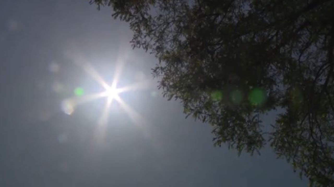 Communities struggle as heat scorches Eastern Canada