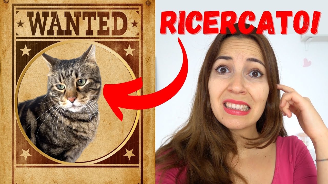 PERDO IL GATTO DI MIA MADRE MICIOLO!