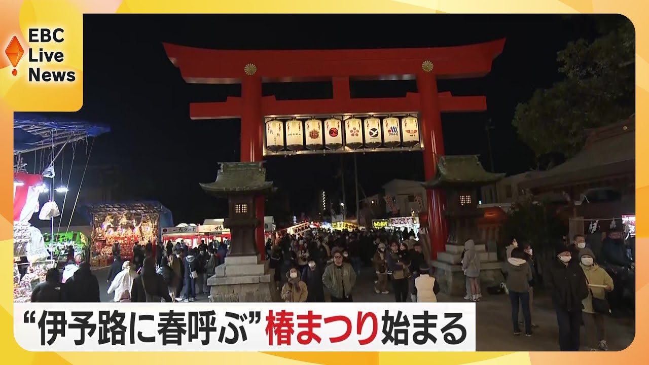 伊予路に春呼ぶ「椿まつり」始まる