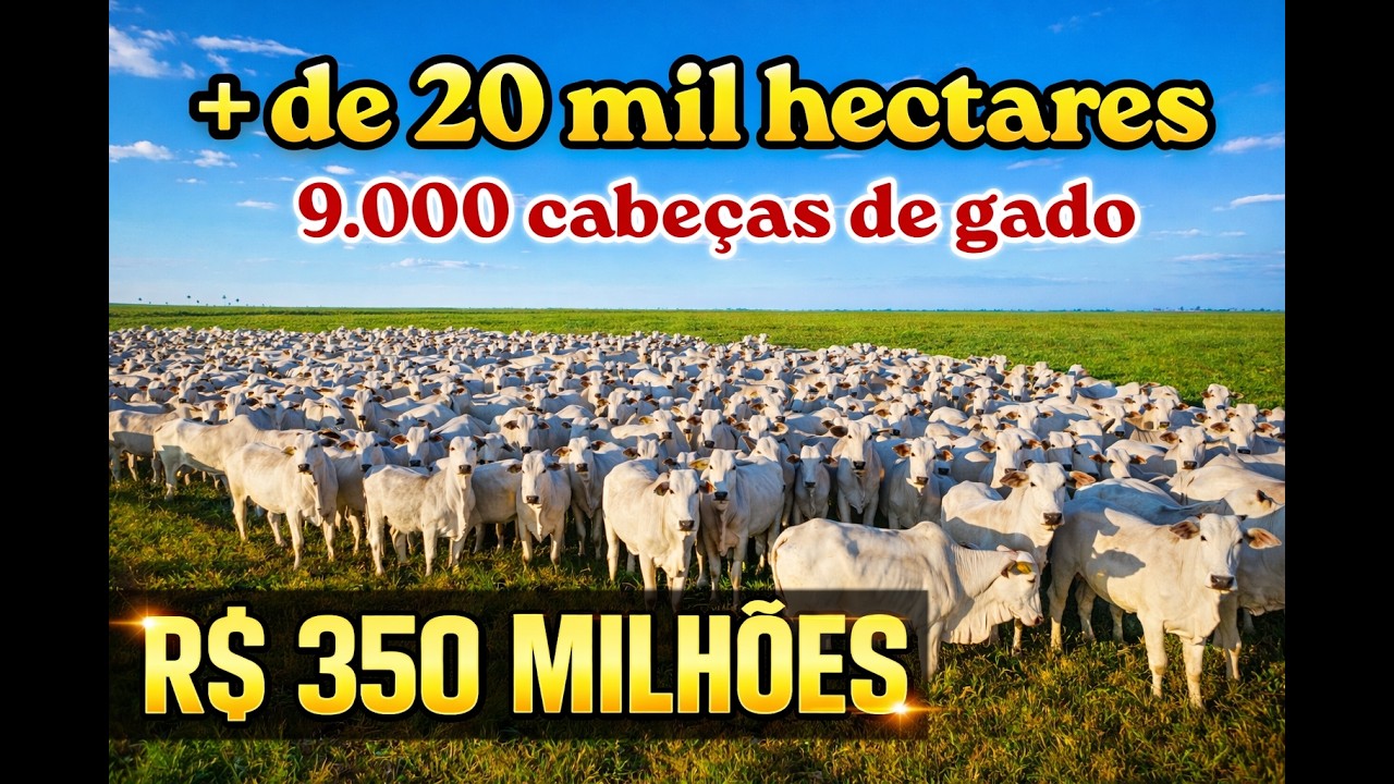 Fazenda de 18.798 ha no Tocantins – R$ 350 Milhões Porteira Fechada com Prazo de 10 Anos
