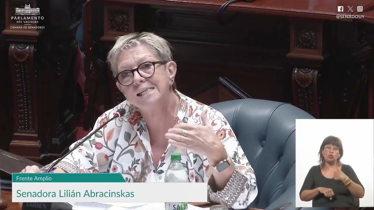 “Sin presupuesto, los derechos humanos quedan en el discurso”, Lilian Abracinskas