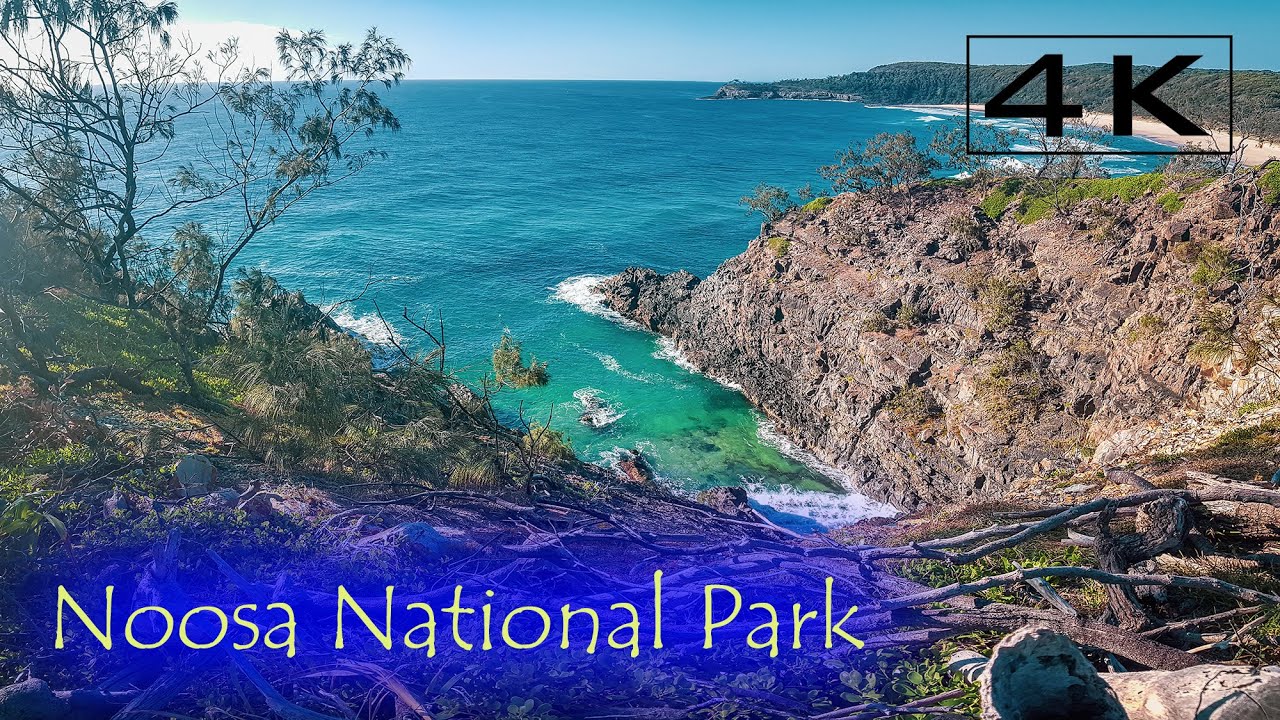 [4K] Noosa National Park Walk ASMR - Coastal Walk