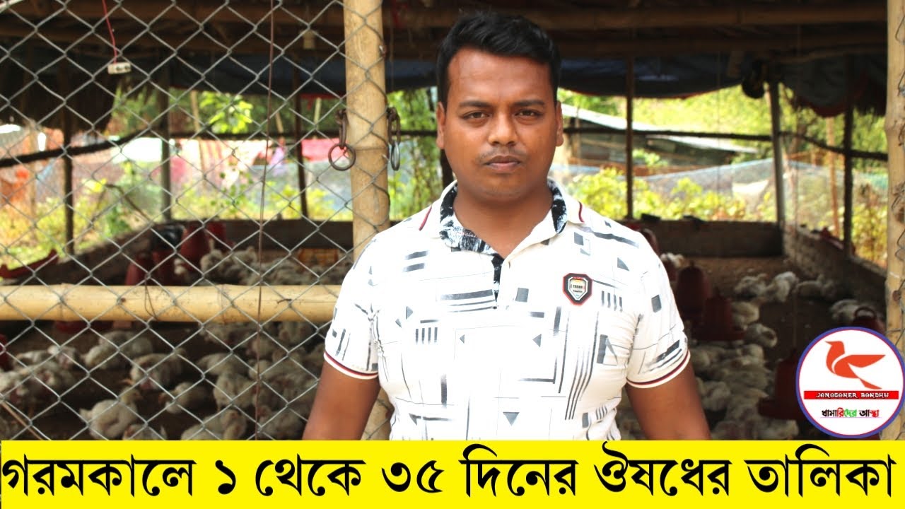 গরমকালে মুরগি সুস্থ রাখতে কি কি ঔষধ ব্যবহার করবেন | Poultry Farming