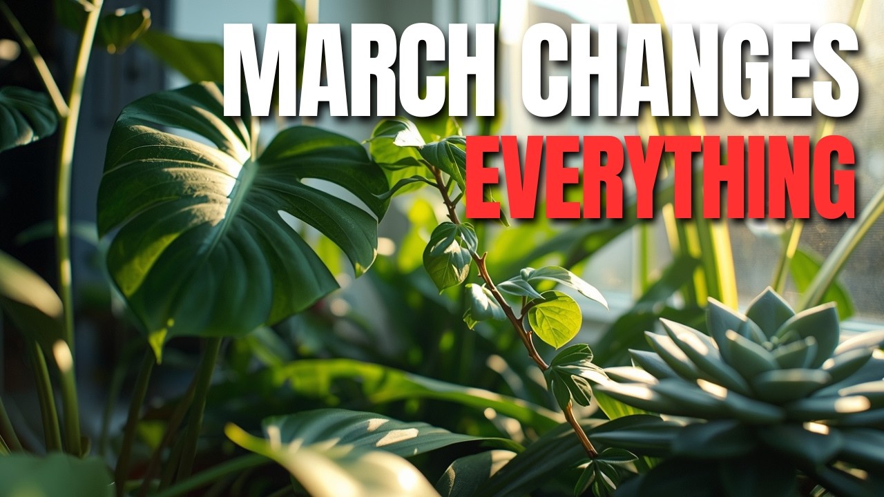 What Changes in March for Your Plants? 🌸 | Spring Growth Explained