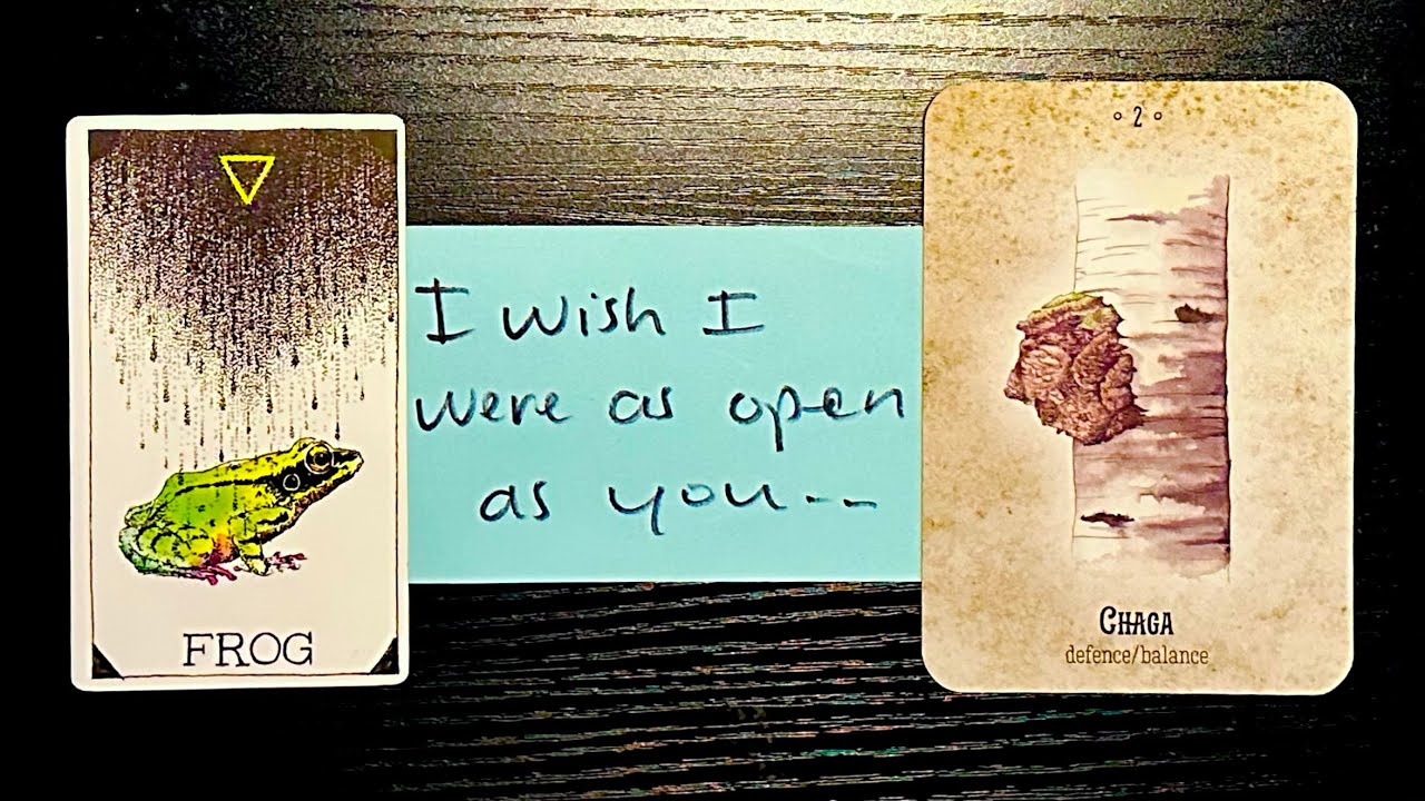 Они ненавидят то, что ты теперь насторожен… ☹️