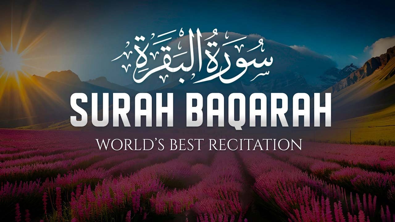 سوره البقرة   كامله بصوت الشيخ ماهر المعيقلي بدون إعلانات