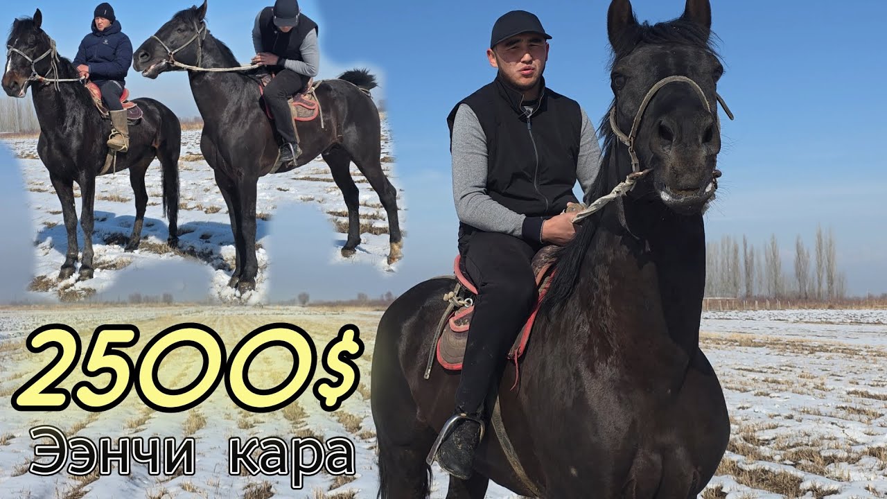 КАРА АТТАР ТЫНЧТЫКТаН