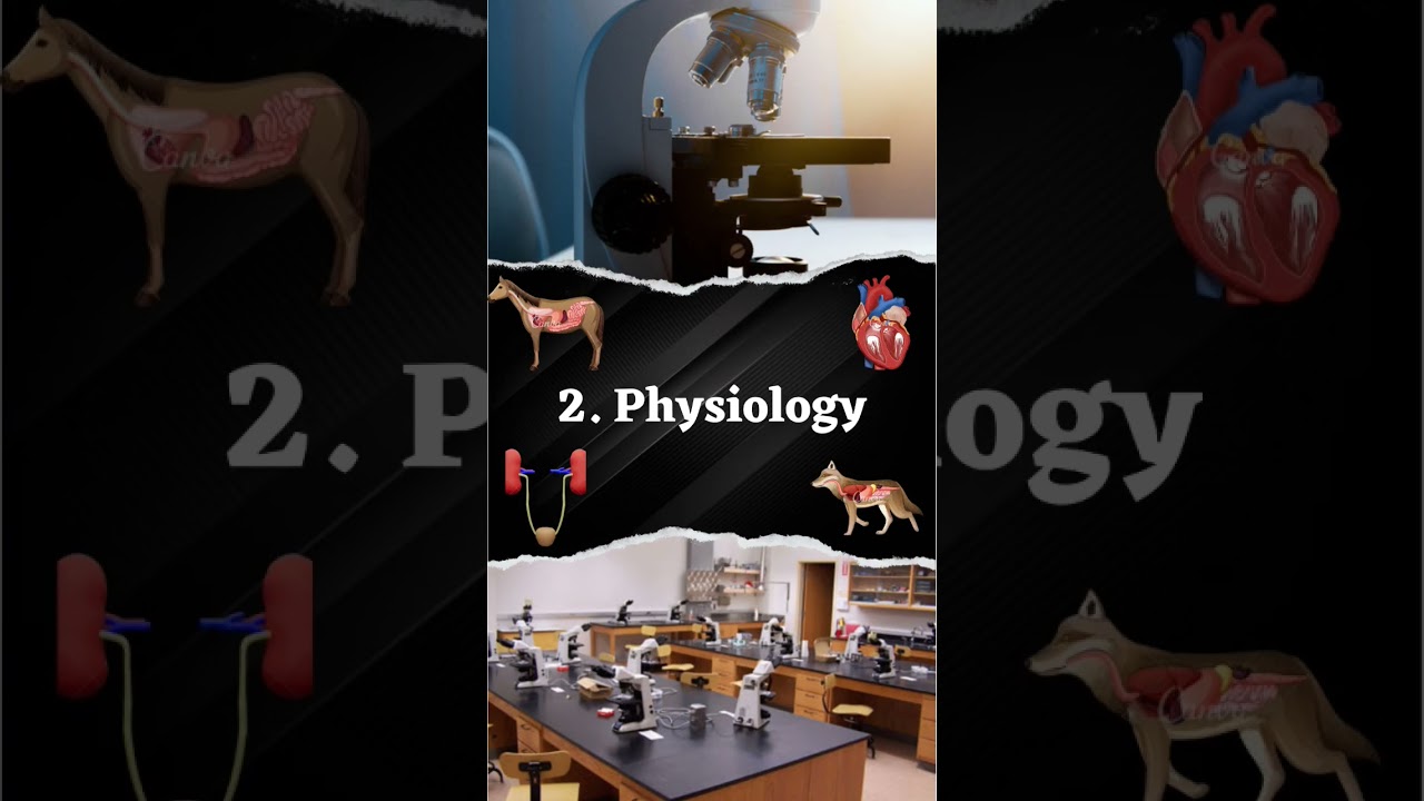 1st Year Veterinary Subjects(BVSC & AH) #bvscah #veterinary #viral #vetvisit #neet #neet2023 #short