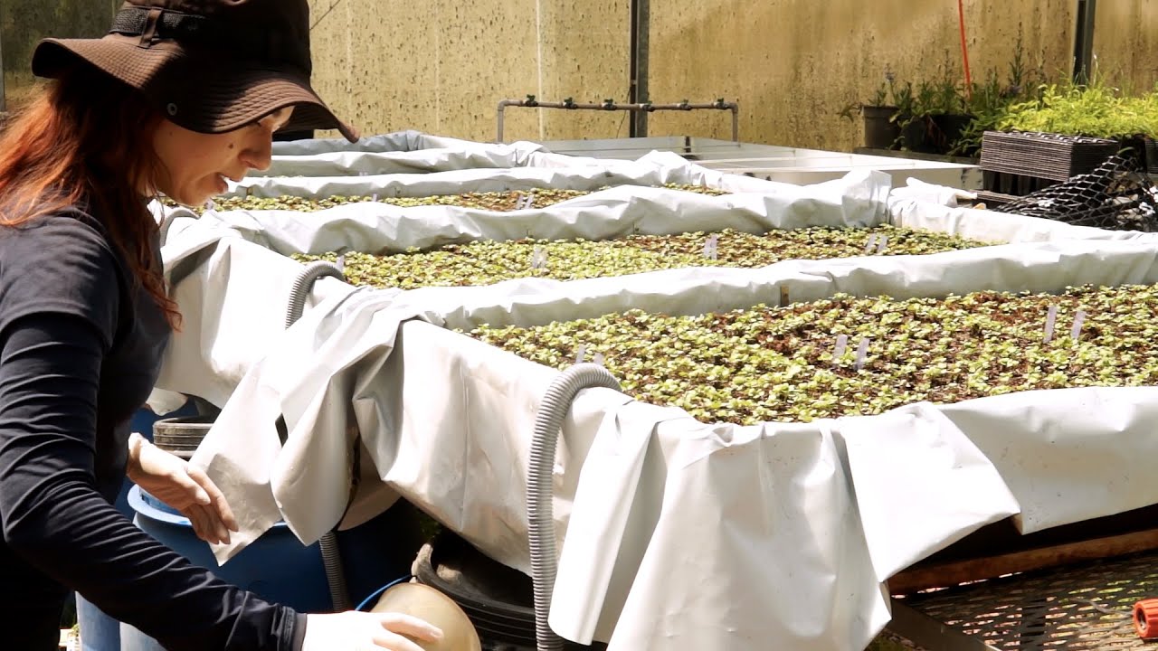 60 anos do Programa de Pós-Graduação em Agronomia (PPGAGRO) - Conhecendo a UFRGS