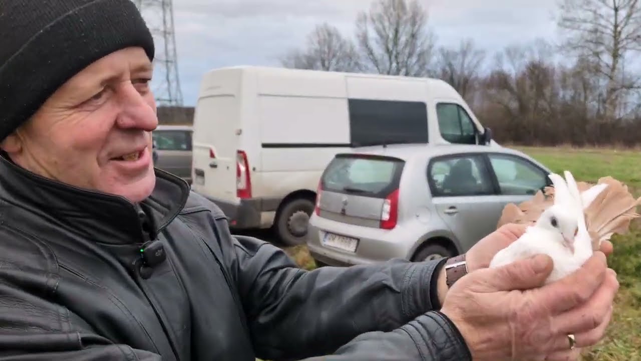Wyszło jak zawsze 🕊️