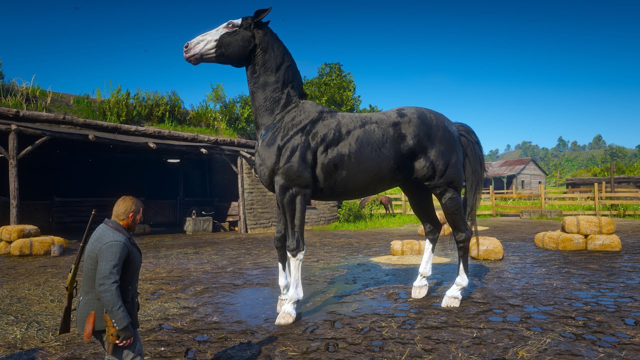 RDR 2 | Arthur Morgan Tames Micah's Horse at Emerald Ranch