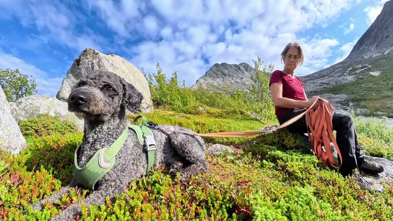 Norge 202509