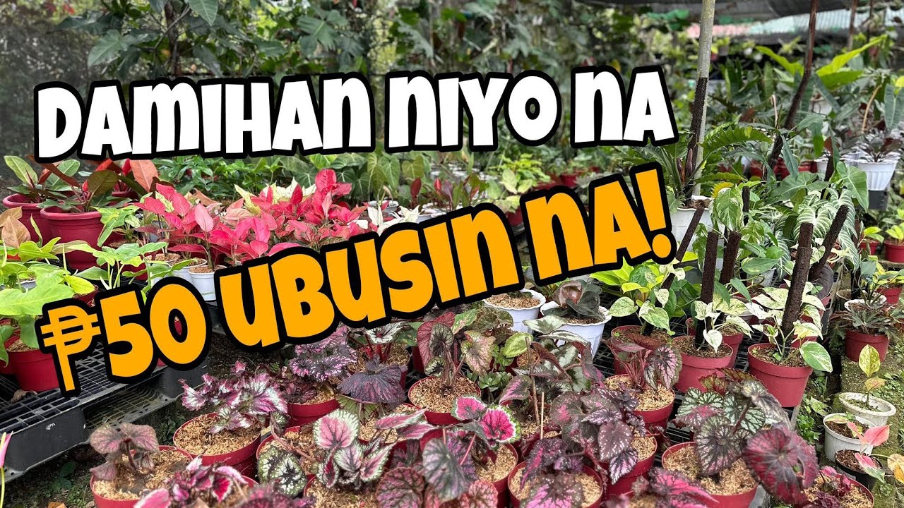 DAMIHAN NIYO NA TIG P50 LANG NAMAN!!!