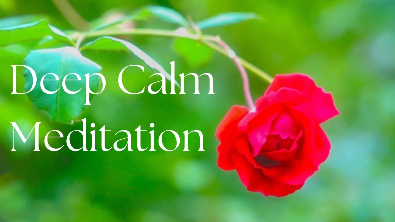 Meditation with Rose Flowers | Gentle Piano & Acoustic Guitar