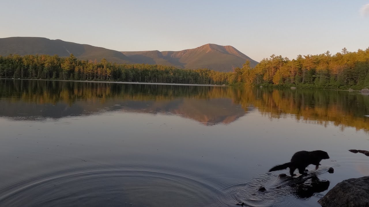 Daicey Pond - August 3-7, 2025