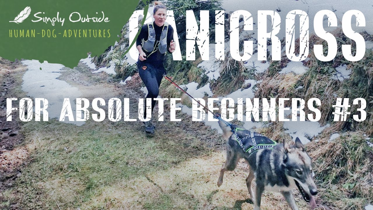 Canicross for absolut Beginners #3 Praxis