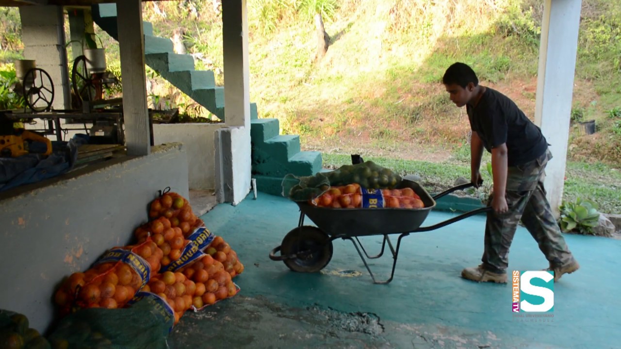 GEOAMBIENTE | EEA ADJUNTAS: SEMILLAS PARA LA NUEVA GENERACIÓN | Parte 3