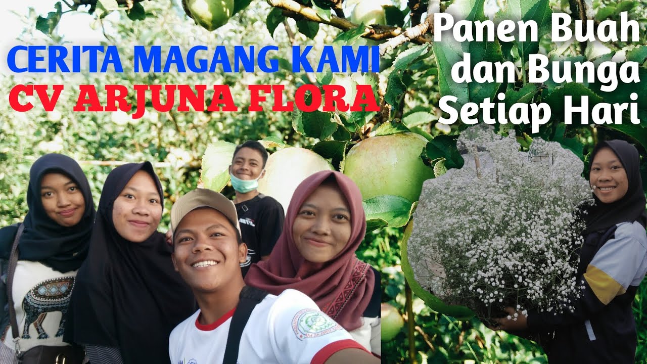CERITA MAGANG CV. ARJUNA FLORA (Mahasiwa Agribisnis FP UNS)