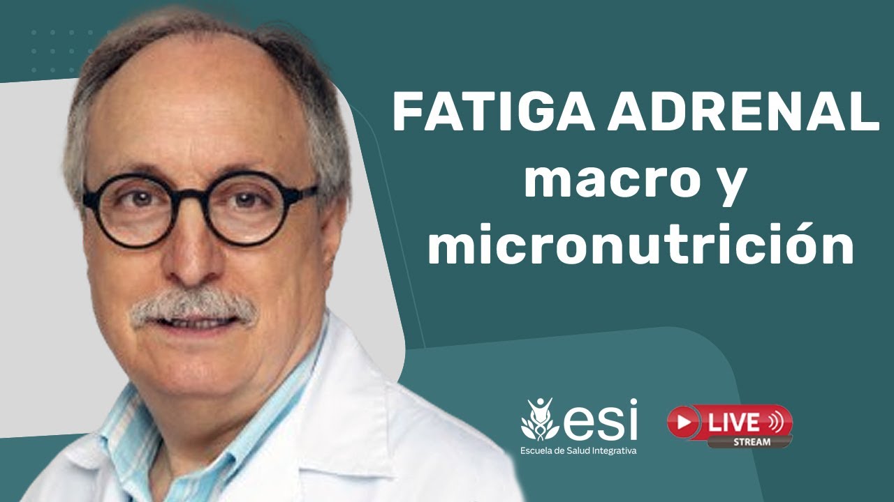 🔴 FATIGA ADRENAL: MACRO y MICRONUTRICION. [Dr. Domingo Pérez León]