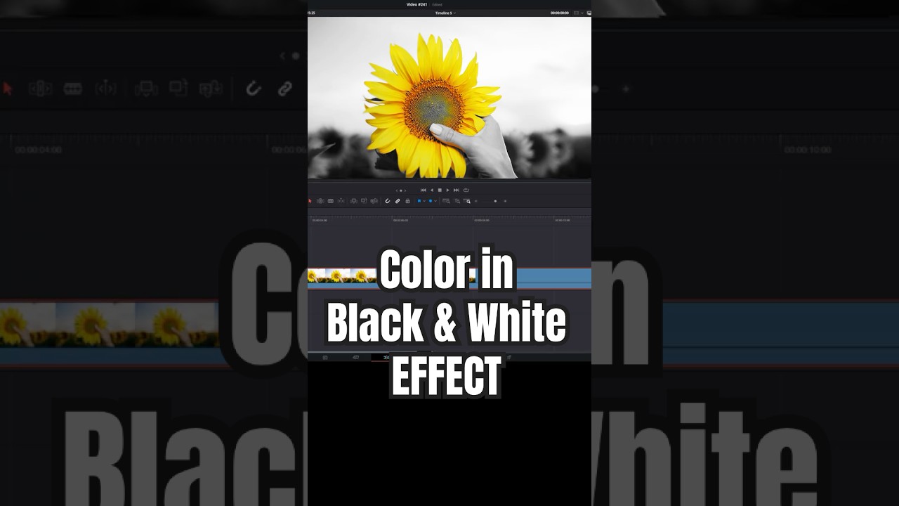 Make One Object COLORED and the rest Black & White - DaVinci Resolve