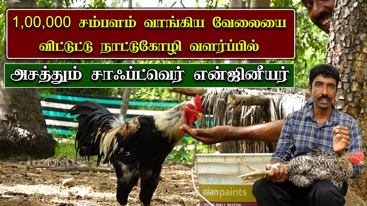 Kozhipannai Pannai Loan and Subsidy குறைந்த முதலீட்டில் கோழி வளர்த்து நல்ல லாபம் பார்ப்பது எப்படி?