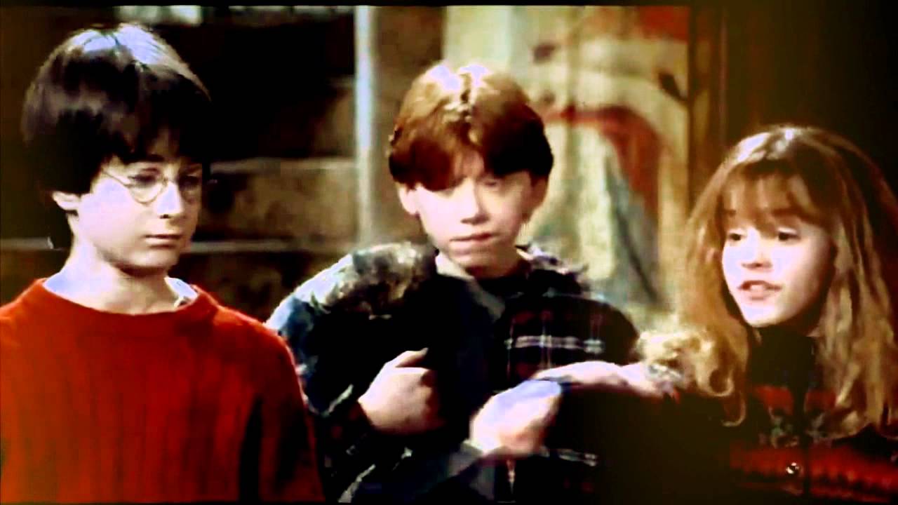 Harry Potter l We live in a beautiful world.