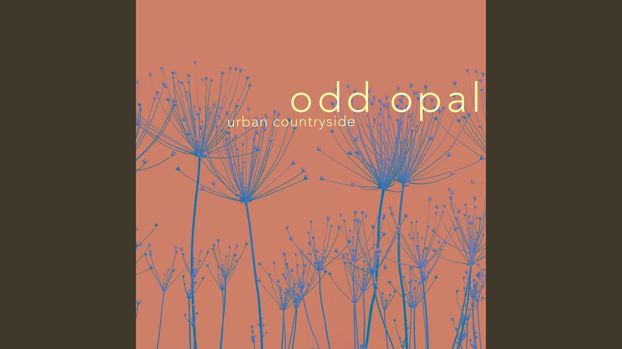 Urban Countryside (the memory moon)