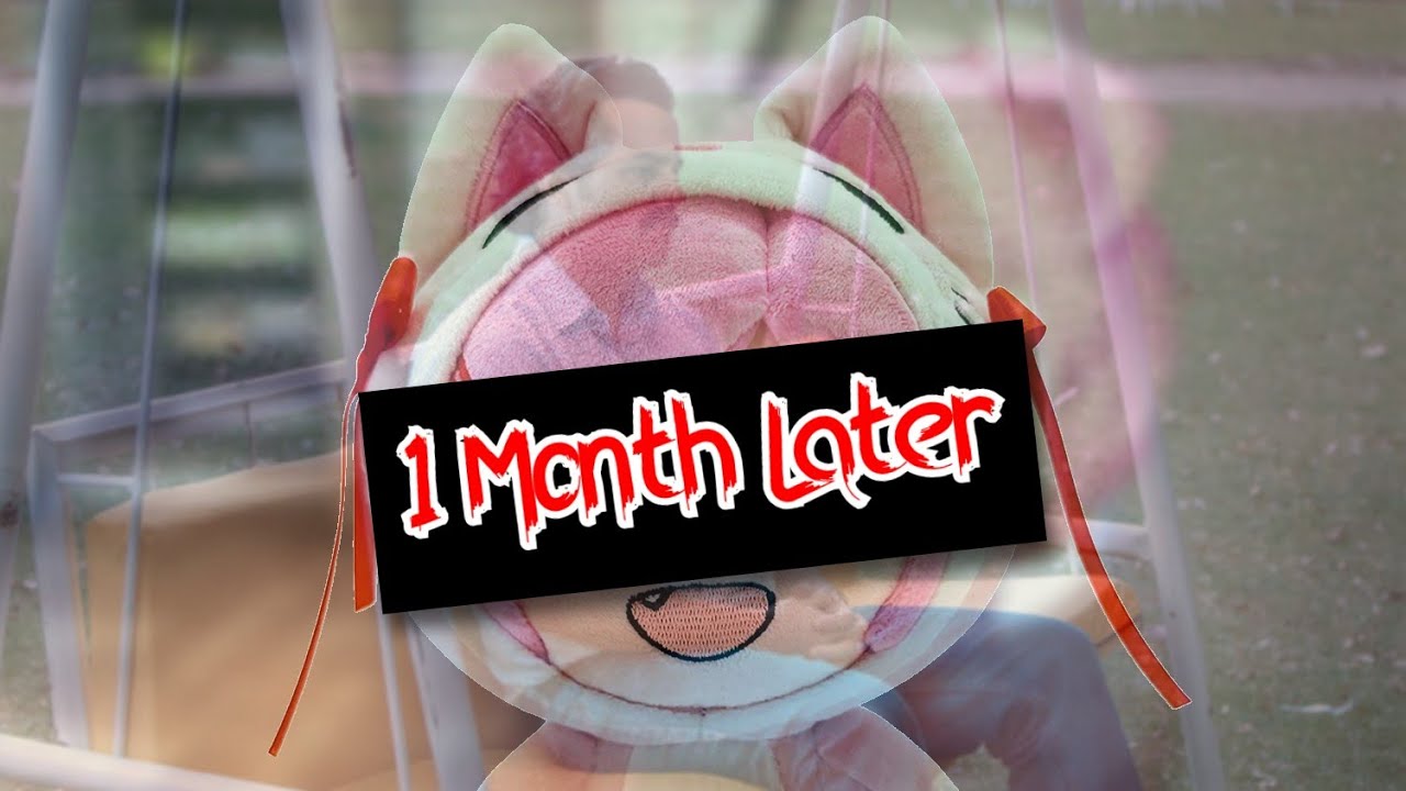 Обновление DDLC Youtooz