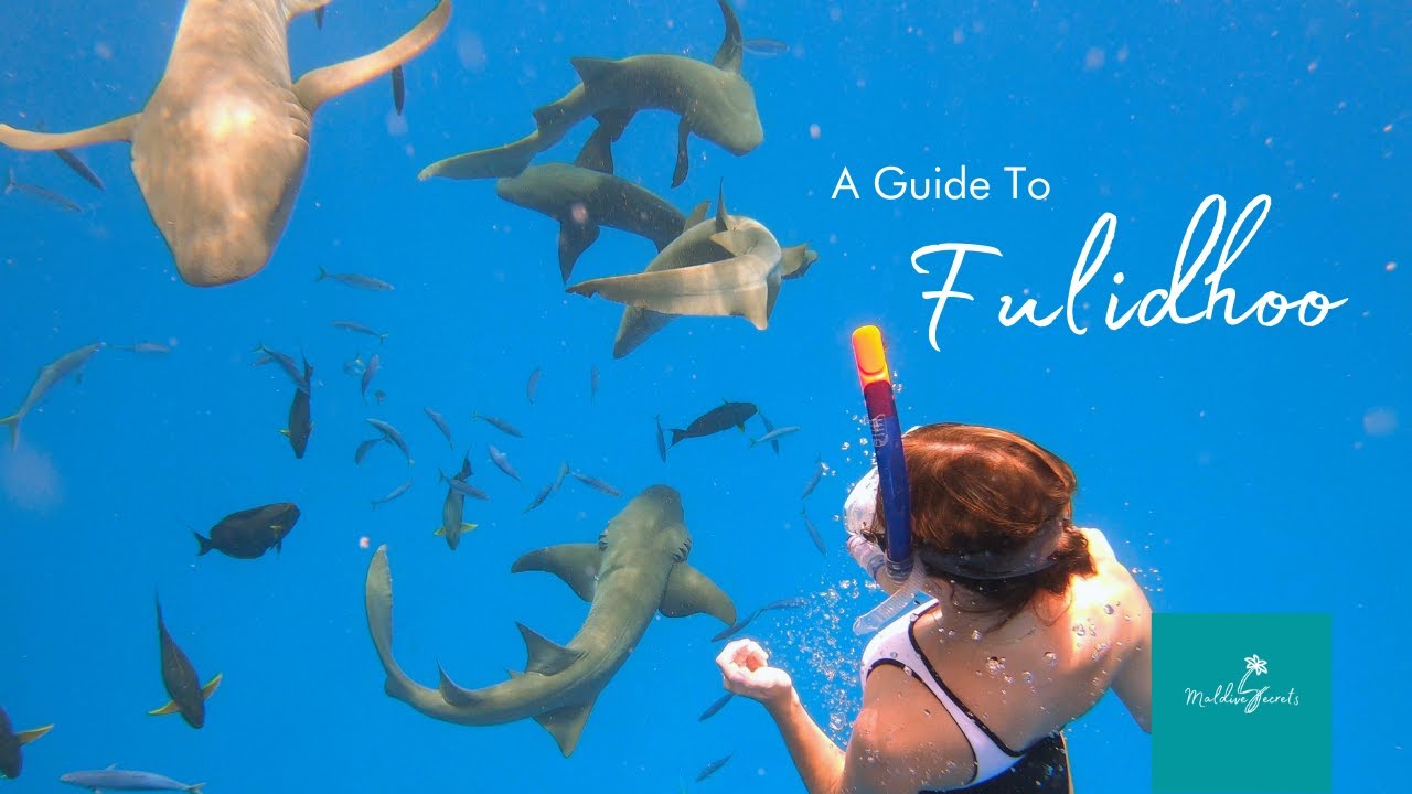 Island Guide: Fulidhoo, Vaavu Atoll