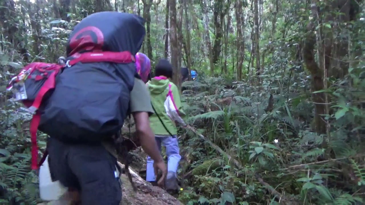 petualangan Metta di gunung singgalang 2877 mdpl lewat jalur baru sikadunduang