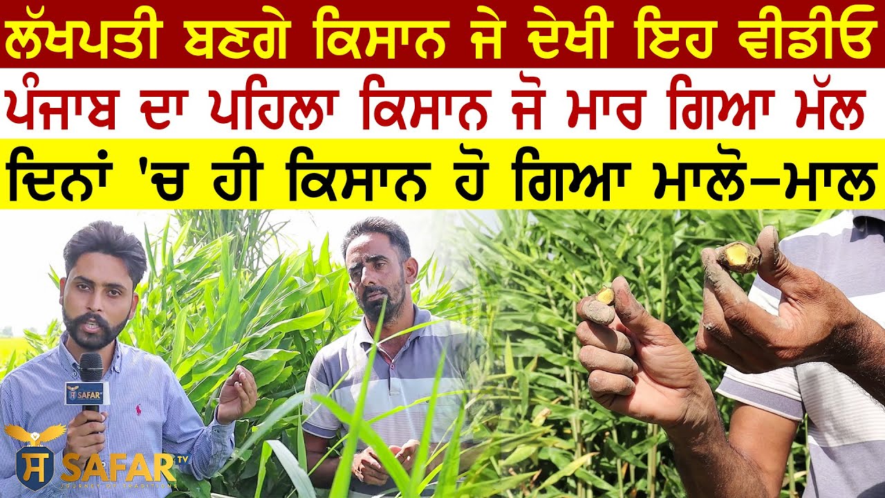 Punjab ਦਾ ਪਹਿਲਾ Kisan, Jo ਬਣਿਆ Lakhpati | Ginger Farmer Lakhpati | Jaspreet Singh Bugga | Safar Tv