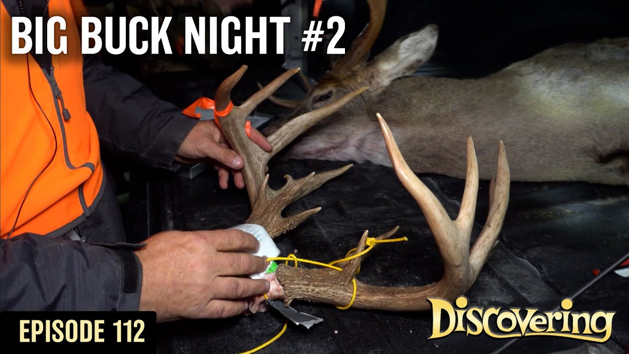 DISCOVERING | Big Buck Night #2