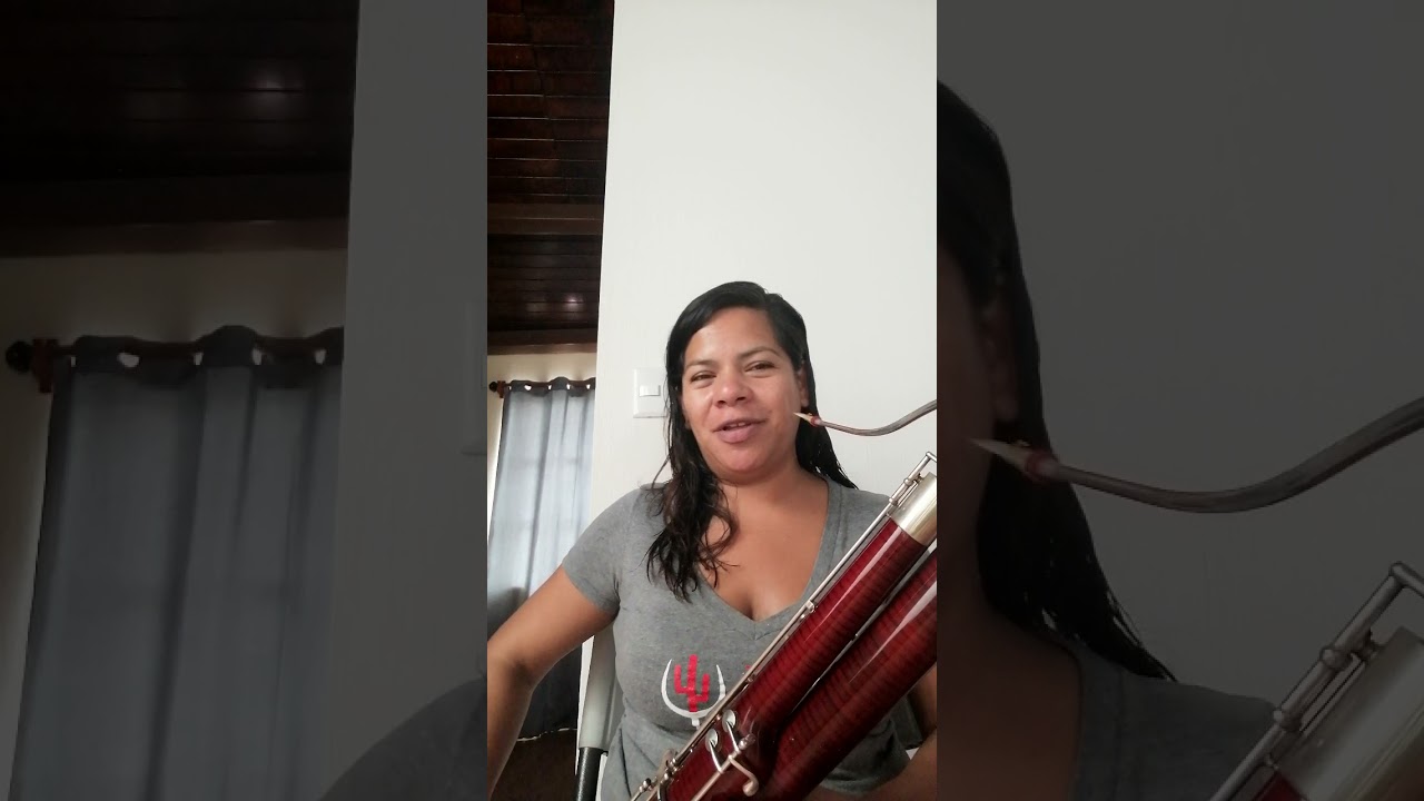Notas en el fagot