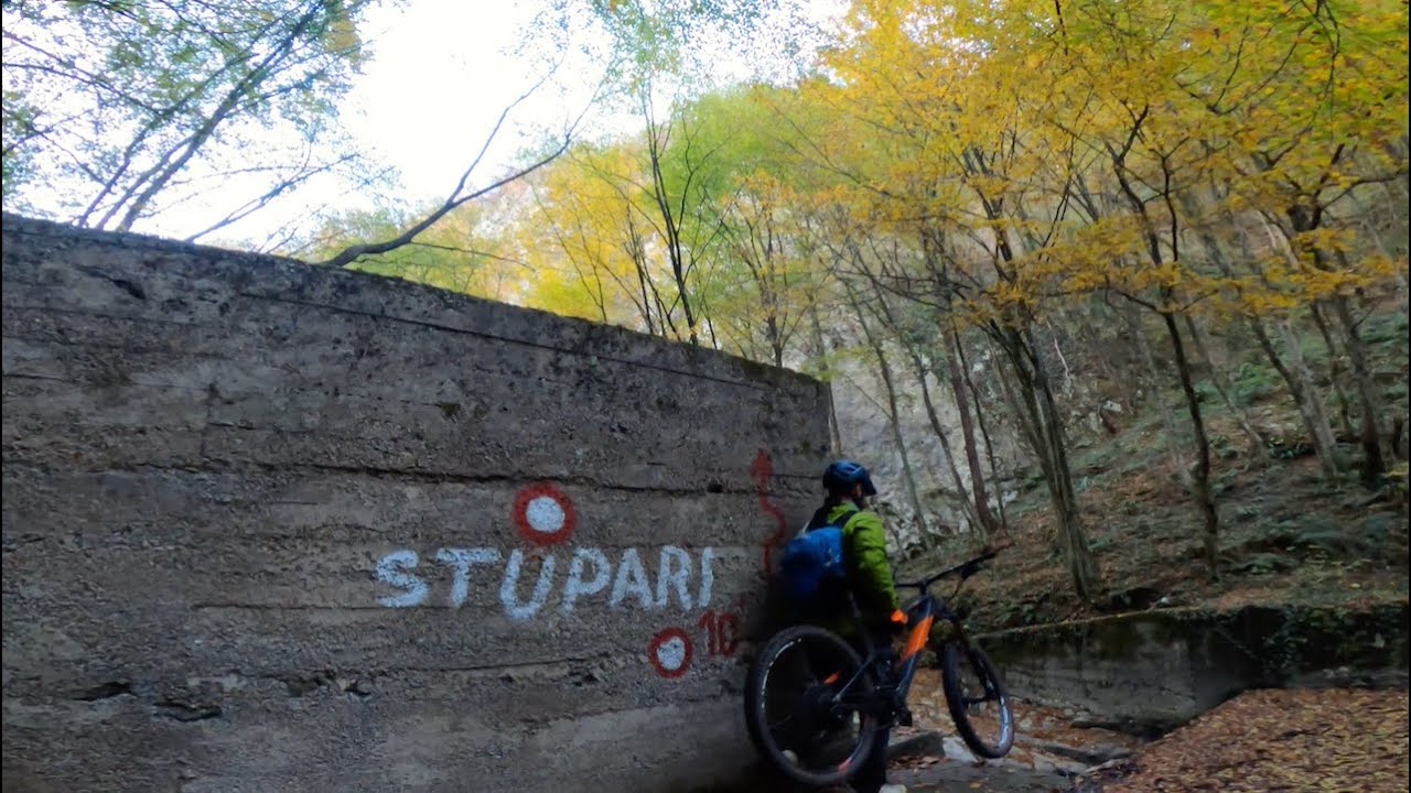 Potočara DH | Javorje | Stupari
