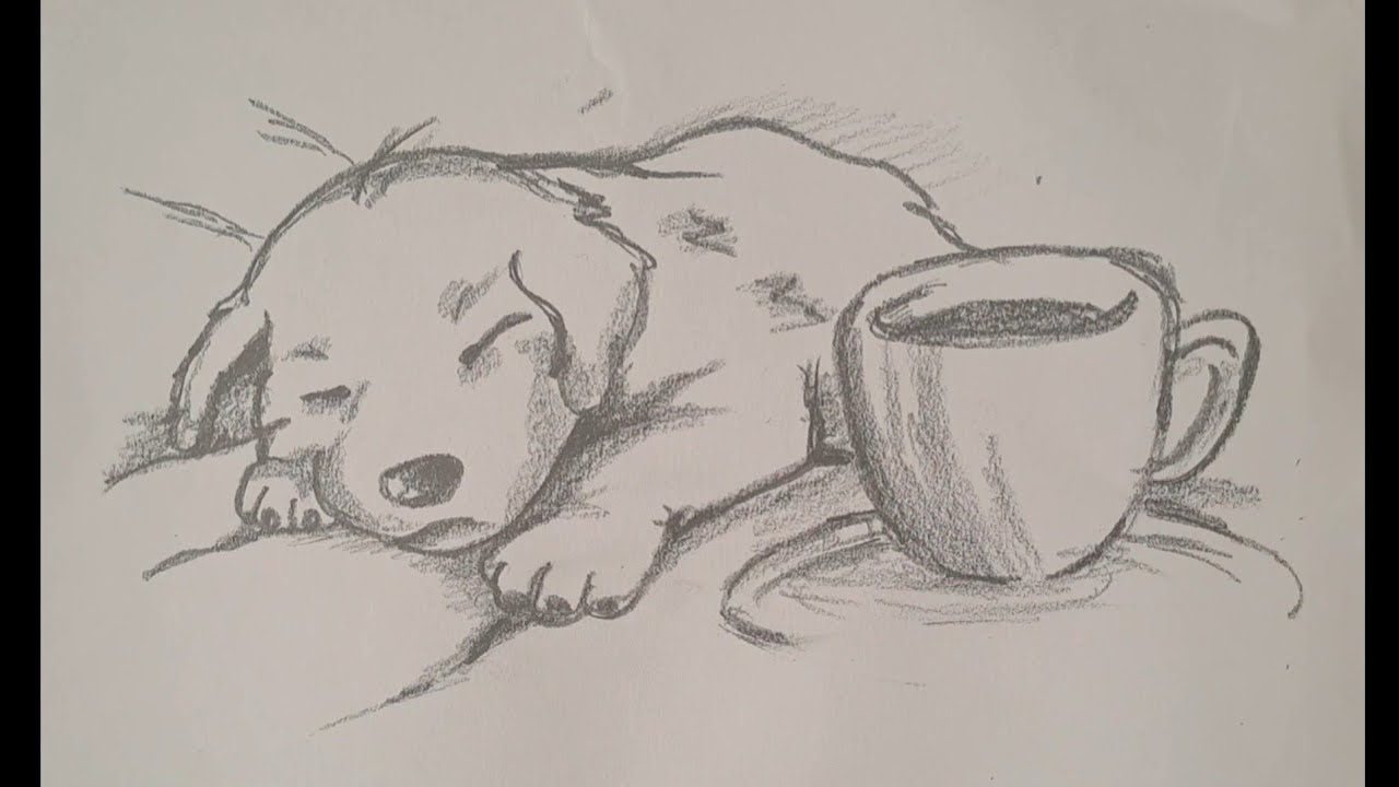 Cómo dibujar un perrito durmiendo - dibujo de perrito durmiendo al lado de una tasa de café