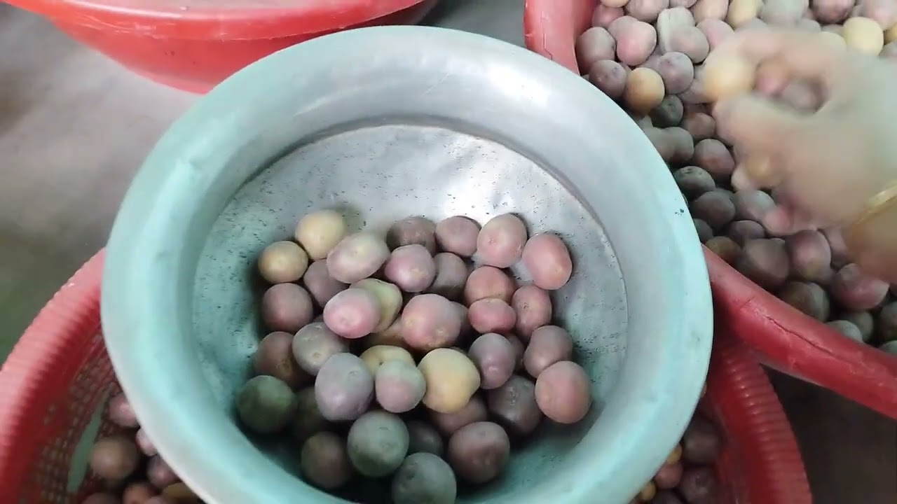 উত্তরবঙ্গে প্রচুর আলুর উৎপাদন হয়। তাই উত্তরবঙ্গের ঐতিহ্যবাহী খাবার আলুর ঘাটি করলাম। #khadijaakther 