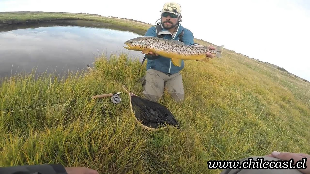 Pesca con mosca en Natales