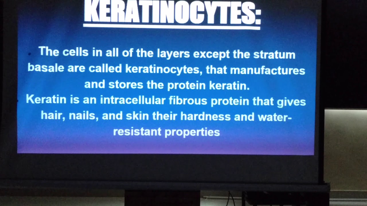 Acne vulgaris , lecture by Dr Hira Naz organized by ASH (part 1)